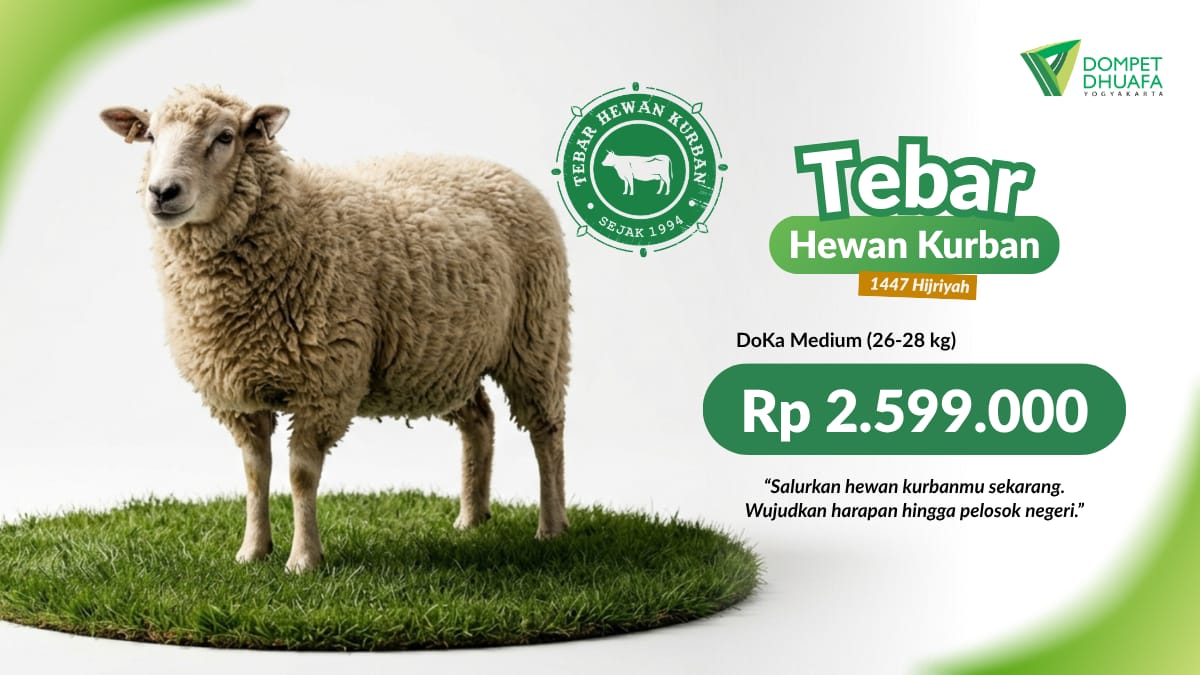 Domba / Kambing Medium