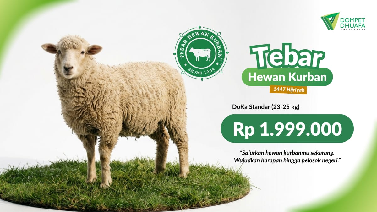 Domba / Kambing Standar