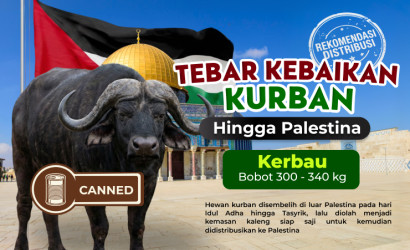 Kerbau Palestina (Canned) 