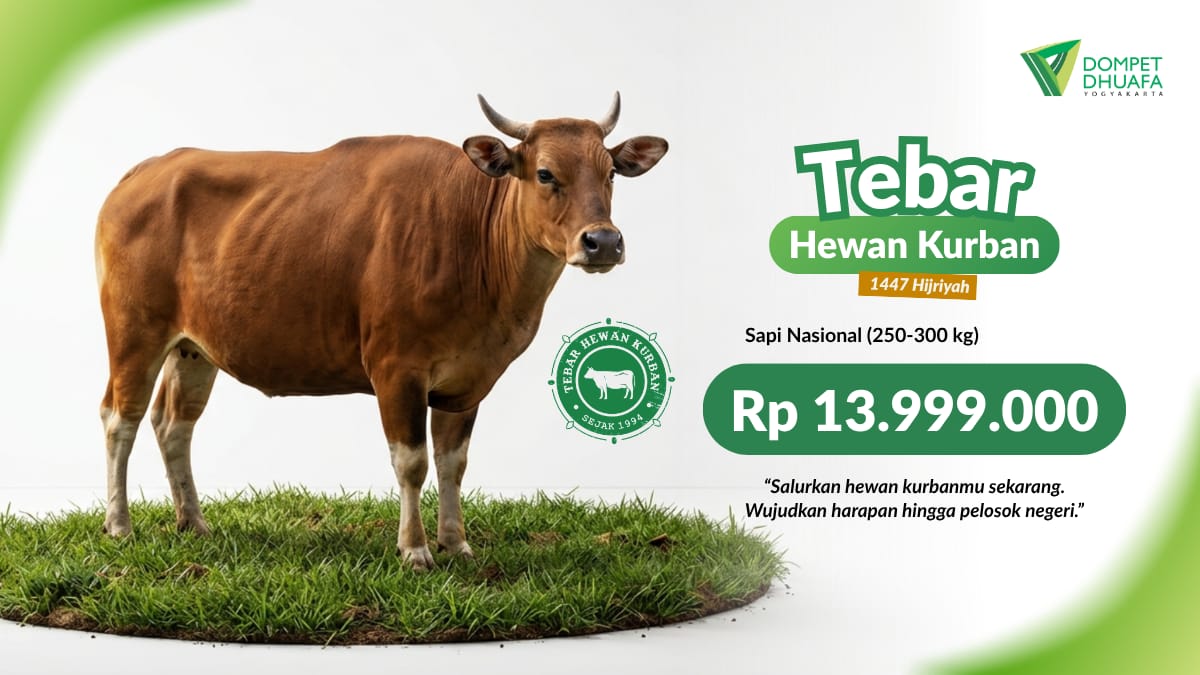  Sapi Nasional 