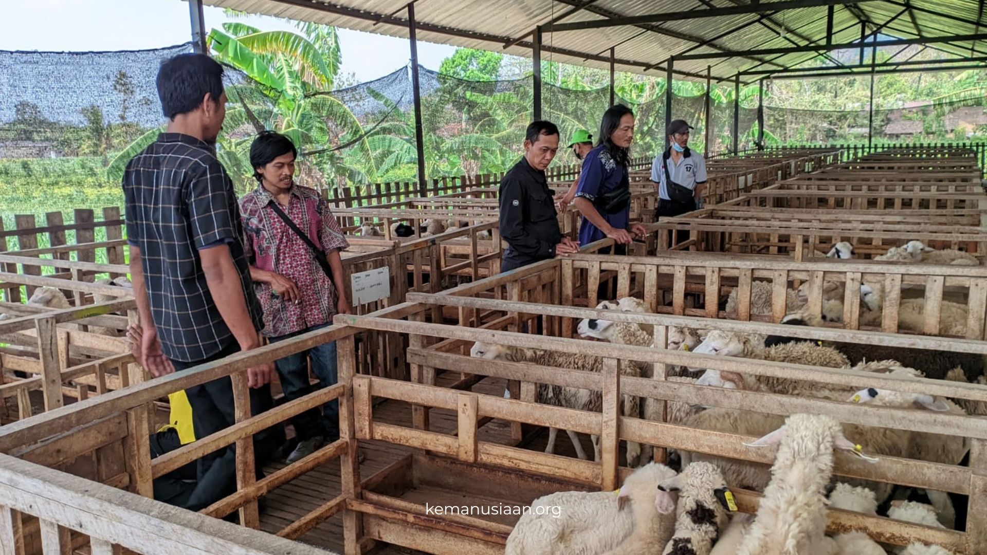 Kampung Ternak Dompet Dhuafa Yogyakarta